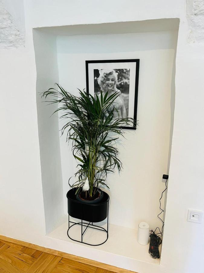 Downtown Secret Apartment Zagreb Bagian luar foto